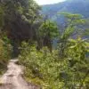 Excursion a las yungas de jujuy