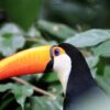 Excursion a las yungas de jujuy